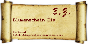 Blumenschein Zia névjegykártya